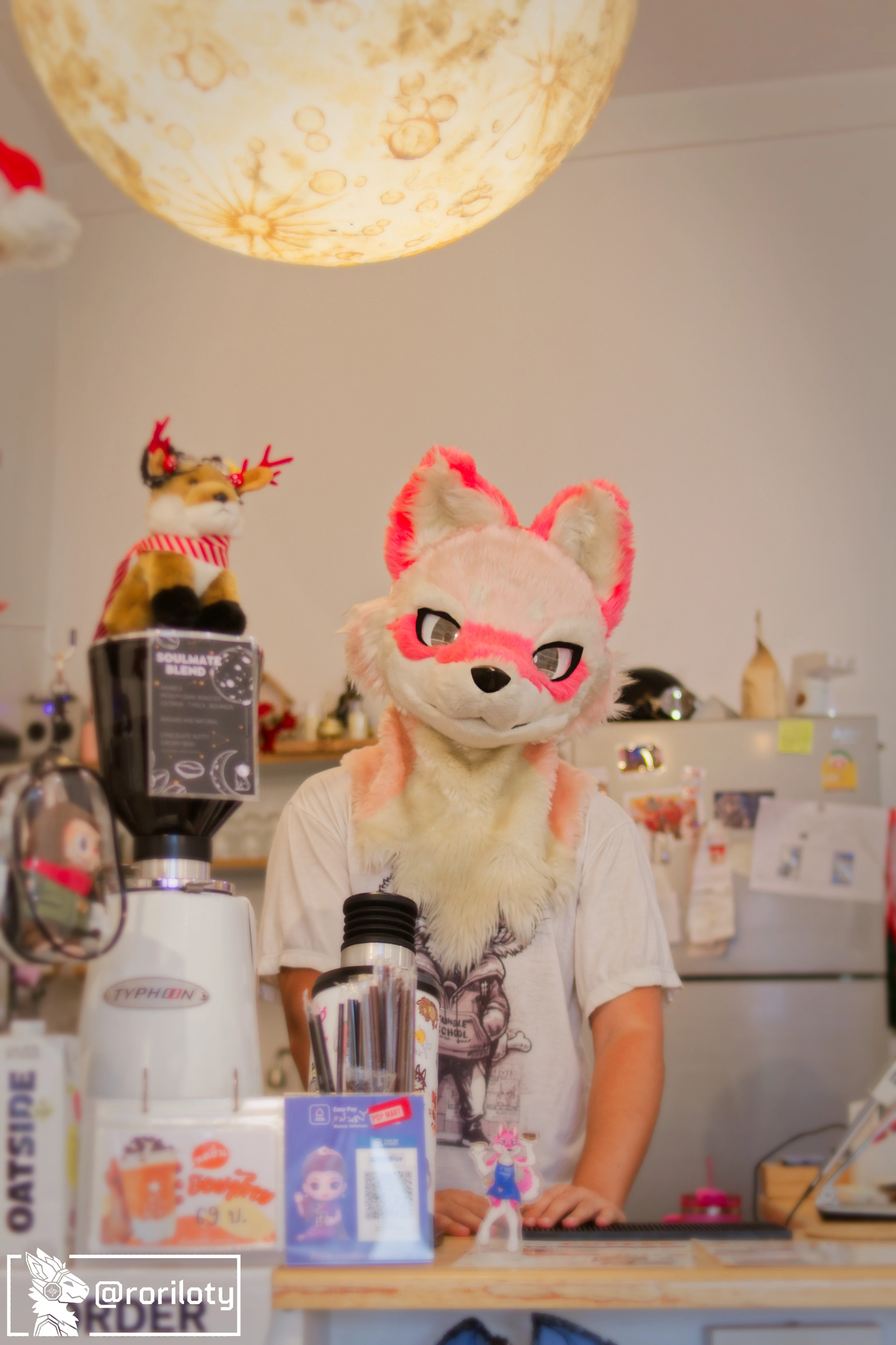 Fursuit Portrait
